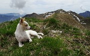 67 Finalmente in vetta al 'Soc di Agnei' (Cima degli Agnelli)-2057 m) 